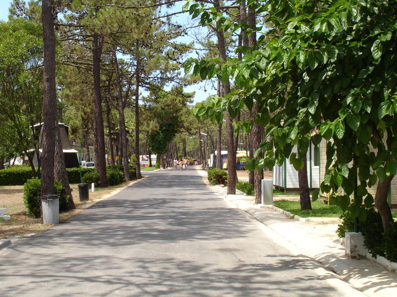 Hotel Parque De Campismo Orbitur Gala Figueira da Foz Exteriér fotografie