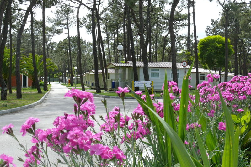 Hotel Parque De Campismo Orbitur Gala Figueira da Foz Exteriér fotografie